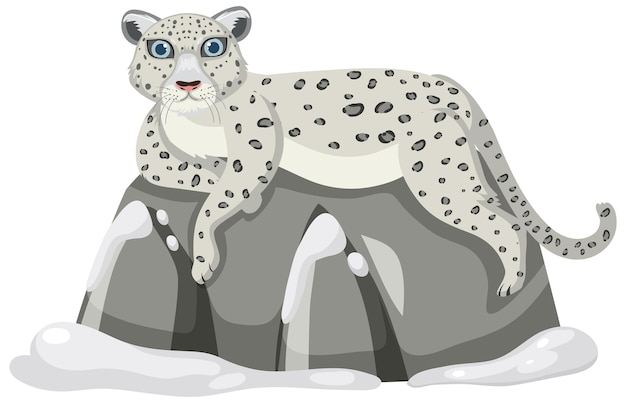 Snow leopard isolated on white background