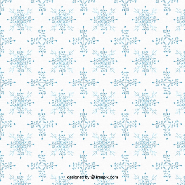 Snowflakes pattern with flowers