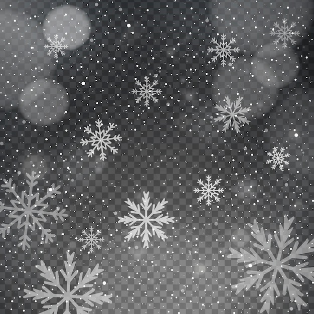 Snowflakes on a transparent bokeh background