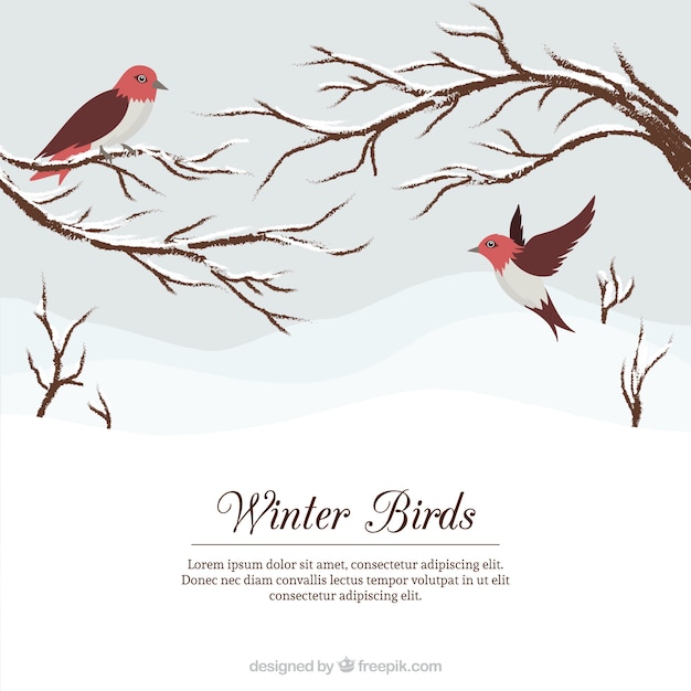 Free vector snowy landscape background with pretty birds and branches