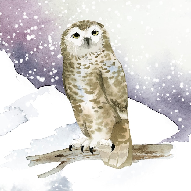 Free vector snowy owl in winter watercolor style vector