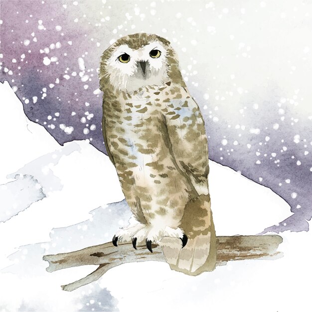 Snowy owl in winter watercolor style vector