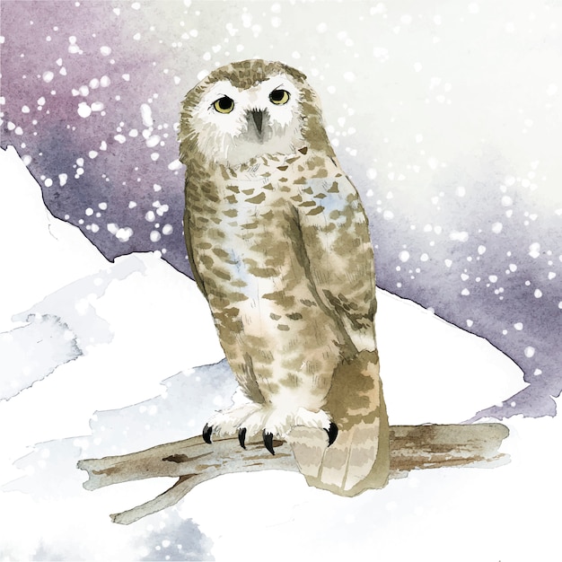 Снежная сова в зимнем стиле акварель