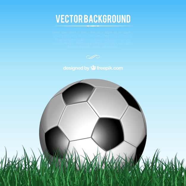 футбольный мяч в траве вектора