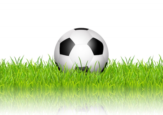 Soccer ball in grass on white background