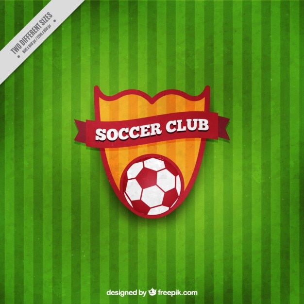 Soccer shield on a green background