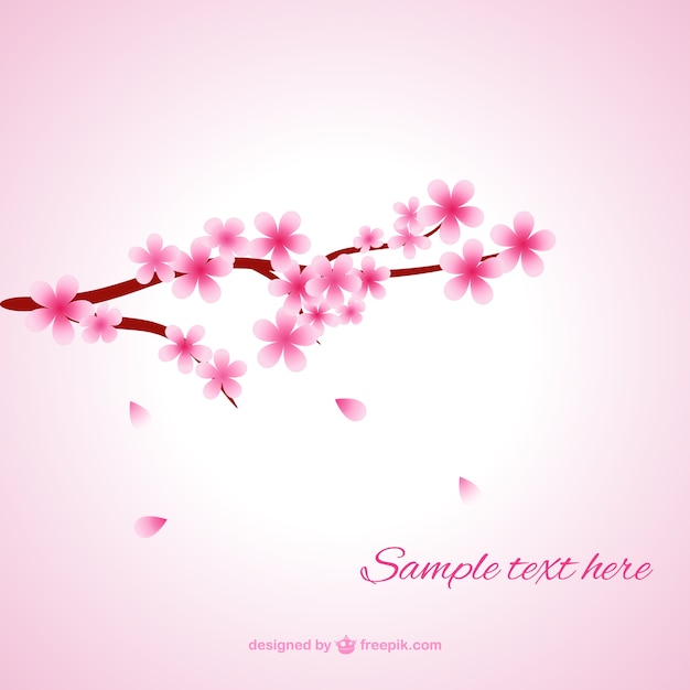 ソフト桜