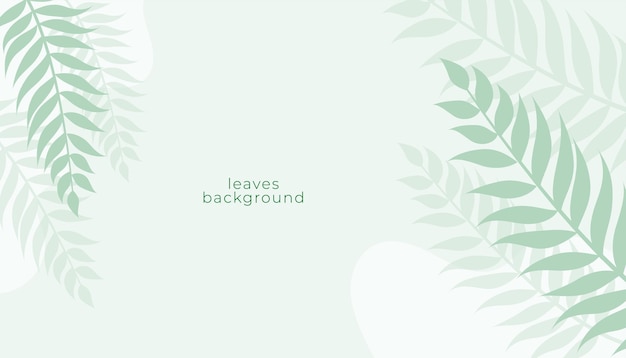 Free vector soft green leaves on white background