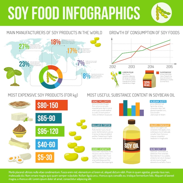 大豆食品のinfographicsセット