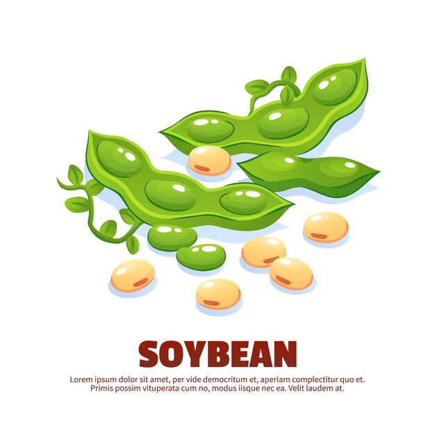 Soybean  composition for template label packing and farmer market emblem with green soy pods and ripe beans cartoon