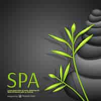 Free vector spa background