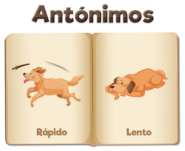Обучение испанскому языку Rapido и Lento Fast and Slow
