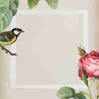 Free vector sparkling rosebush and yellow great tit bird with a white frame on beige background