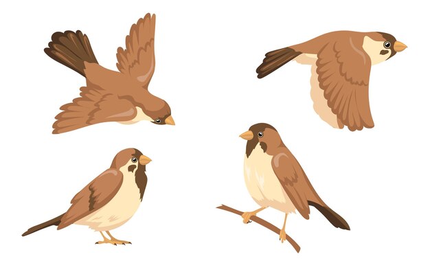 すずめ 画像 無料のベクター ストックフォト Psd