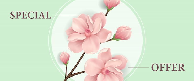 免費 Vector 特別優惠旗,圓框上有粉紅色開花的樹枝.