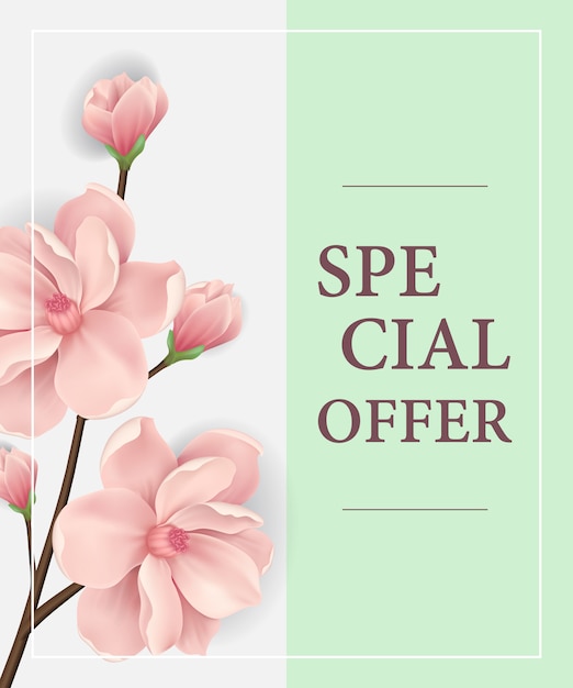 Manifesto di offerta speciale con ramoscello fiorito rosa su sfondo verde chiaro.