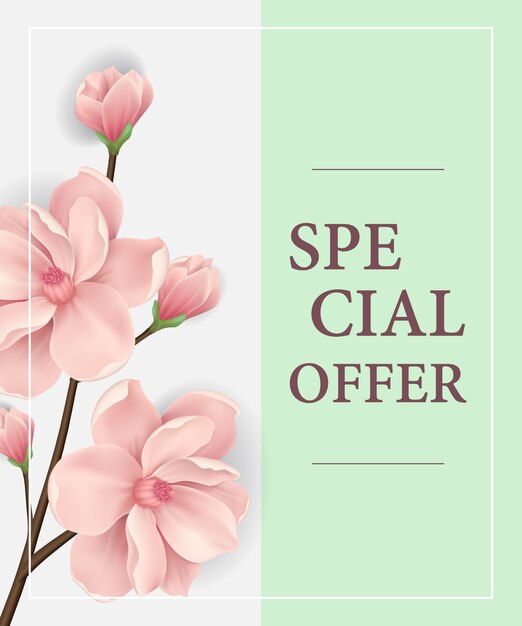 Special offer poster with pink blooming twig on light green background.