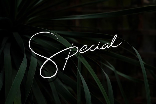 Free vector special text on a leaf