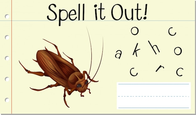 Free vector spell english word cockroach