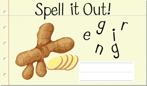 Free vector spell english word ginger