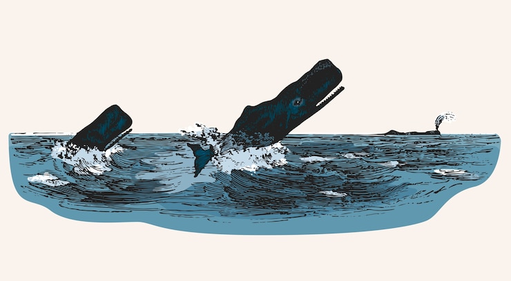 Free Vector sperm whale while attacking fishing boat 