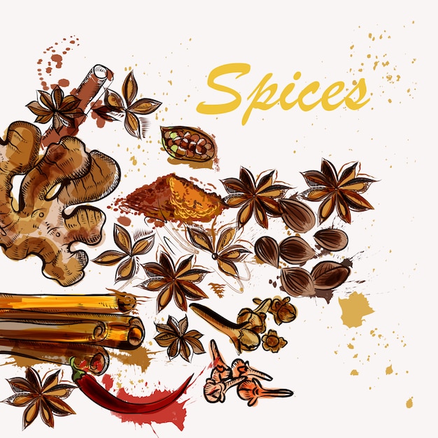 Free vector spices background design
