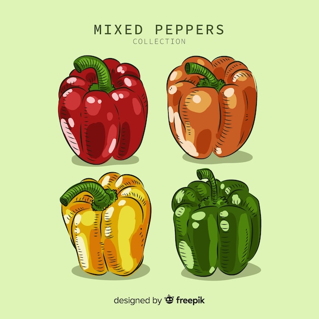 Free vector spices and herbs collection