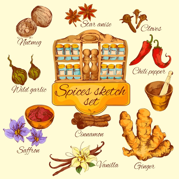 Spices sketch colored