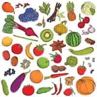 Free vector spices&vegetables&fruits big set