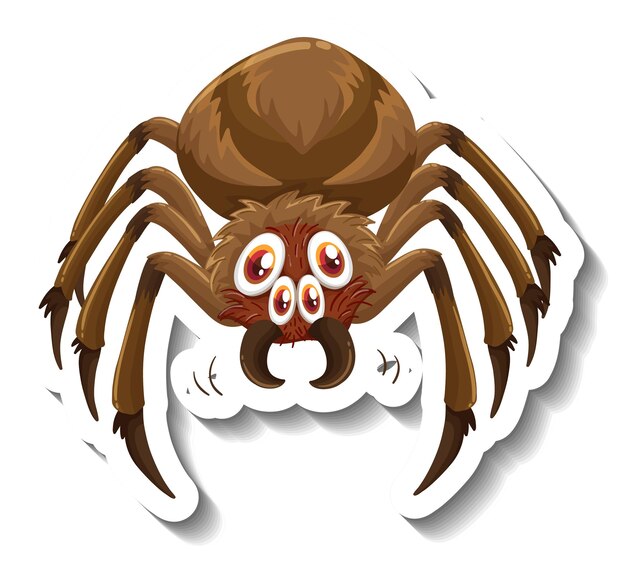 Spider animal cartoon sticker