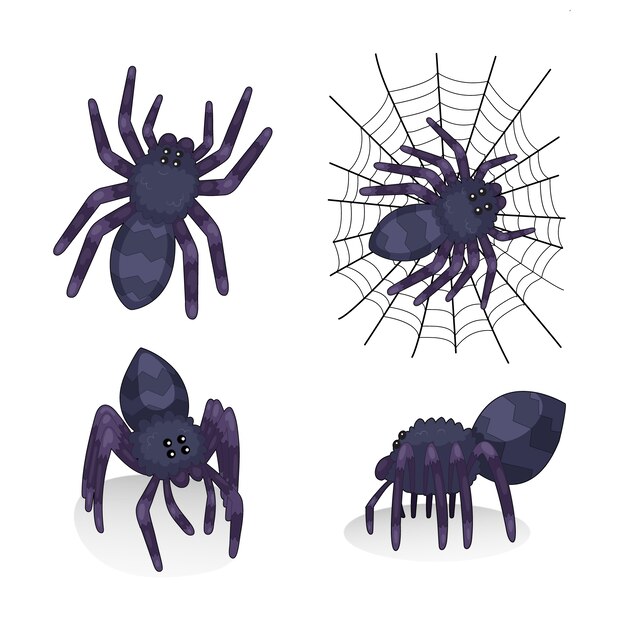 Spider illustration collection