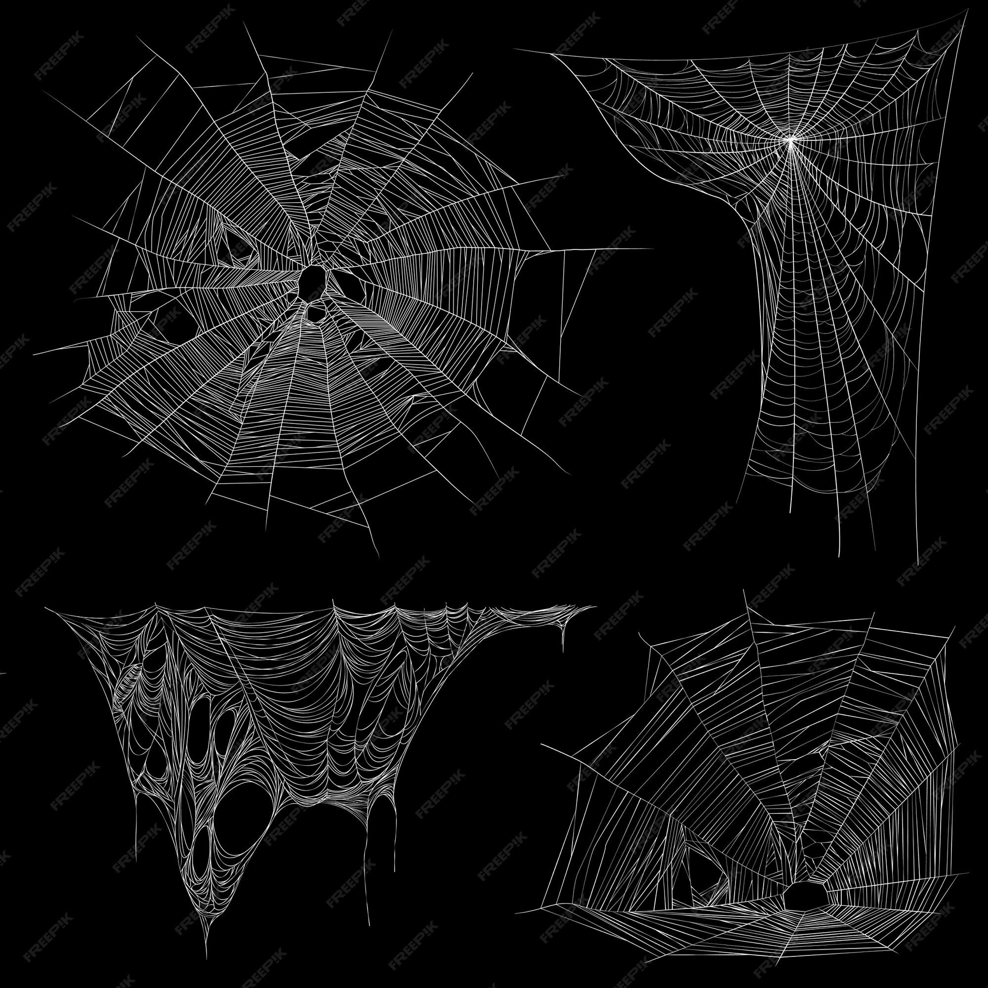 Hanging spider on web thread Royalty Free Vector Image