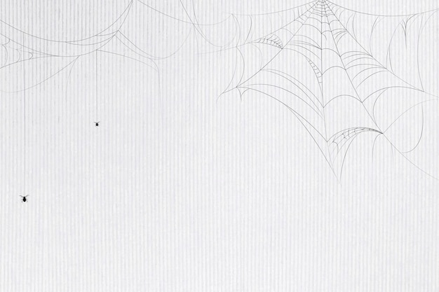 Free vector spider web white background template vector