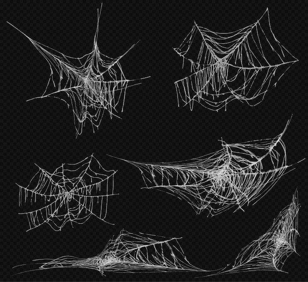 Spider webs shapes collection