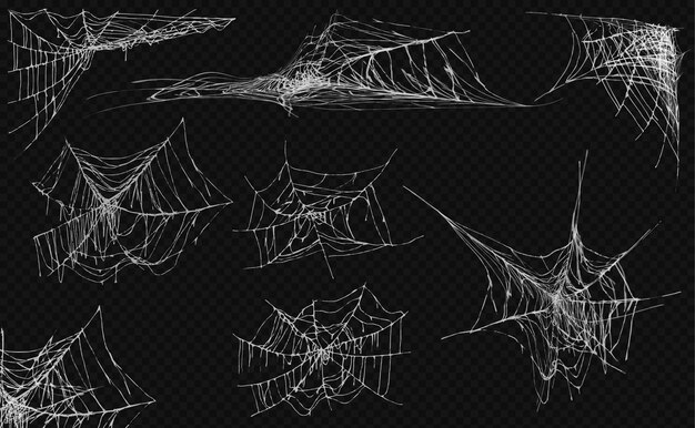 Spider webs shapes collection