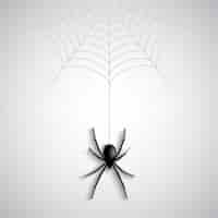 Free vector a spider on a white background