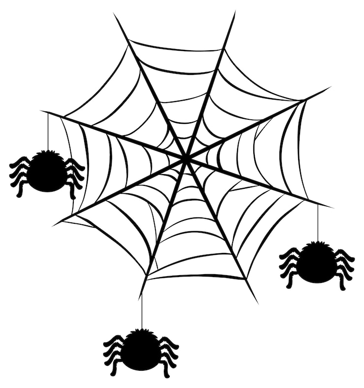 Free Vector spiders and web vector illustration