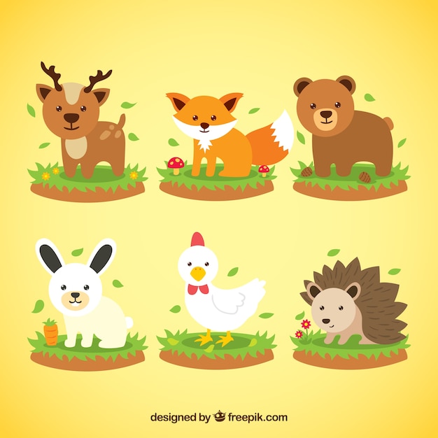 Spring animals collection