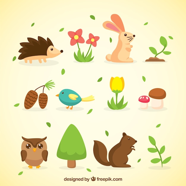 Spring Animals and Nature Collection