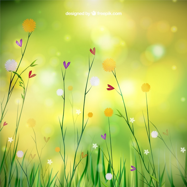 Spring background with flowers