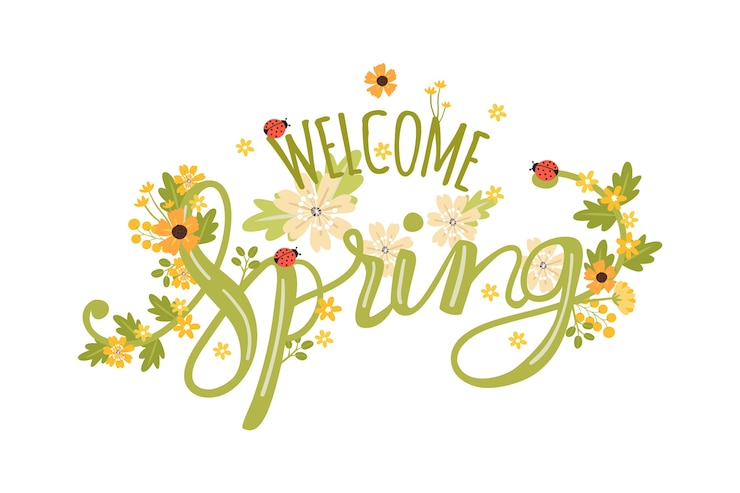 Free Vector spring background with flowers