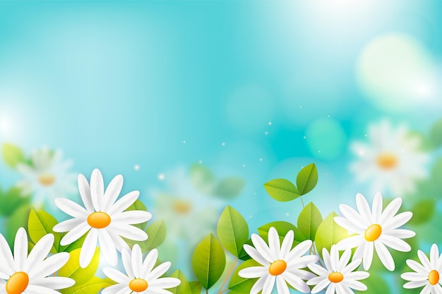 Free vector spring background