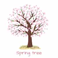 Vettore gratuito ciliegio in fiore di primavera. petalo e natura, pianta del ramo, illustrazione vettoriale