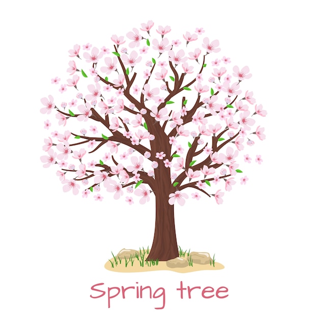 봄 꽃 벚꽃 나무. 꽃잎과 자연, 가지 식물, 벡터 일러스트 레이션