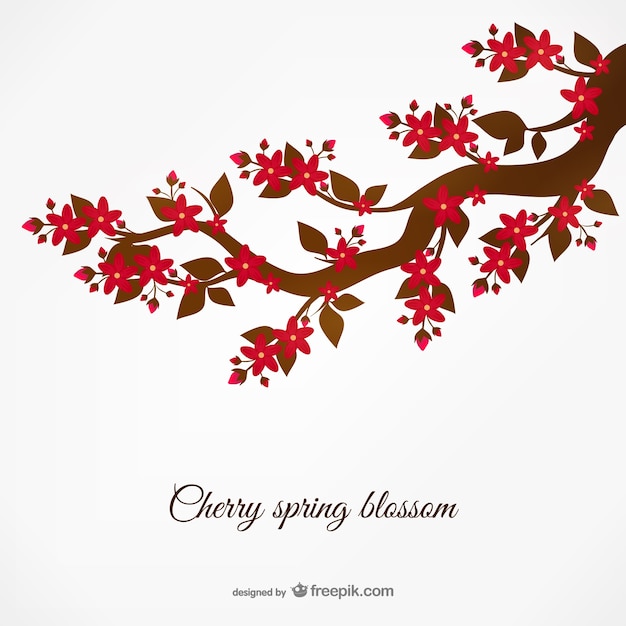 Free vector spring cherry blossom vector