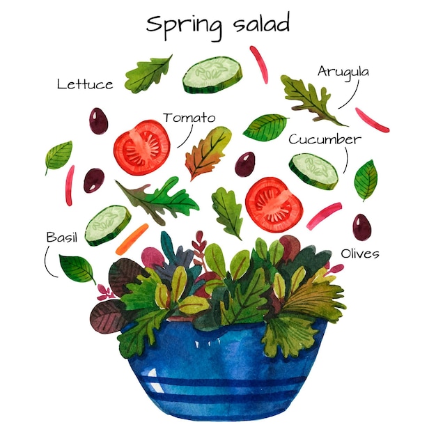 Spring delicious salad watercolour recipe