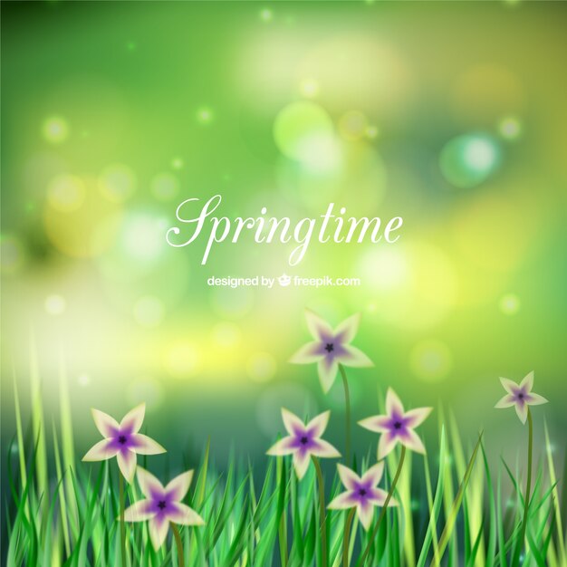 Spring field background