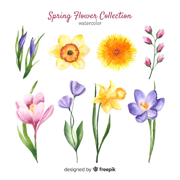 Free vector spring floral collection