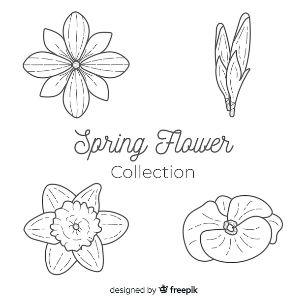 Free vector spring floral collection