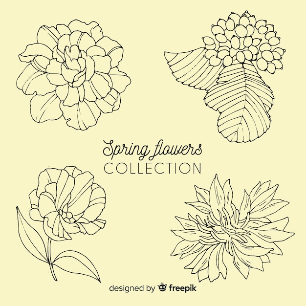 Free vector spring floral collection